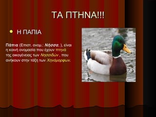 ΤΑ ΠΤΗΝΑ!!!
     Η ΠΑΠΙΑ

Πάπια (Επιστ. ονομ.: Νήσσα , ), είναι
η κοινή ονομασία που έχουν πτηνά
της οικογένειας των Νησσιδών , που
ανήκουν στην τάξη των Χηνόμορφων.
 