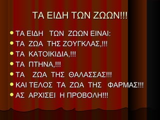 ΤΑ ΕΙΔΗ ΤΩΝ ΖΩΩΝ!!!
 ΤΑ ΕΙΔΗ ΤΩΝ ΖΩΩΝ ΕΙΝΑΙ:
 ΤΑ ΖΩΑ ΤΗΣ ΖΟΥΓΚΛΑΣ,!!!
 ΤΑ ΚΑΤΟΙΚΙΔΙΑ,!!!
 ΤΑ ΠΤΗΝΑ,!!!
 ΤΑ ΖΩΑ ΤΗΣ ΘΑΛΑΣΣΑΣ!!!
 ΚΑΙ ΤΕΛΟΣ ΤΑ ΖΩΑ ΤΗΣ ΦΑΡΜΑΣ!!!
 ΑΣ ΑΡΧΙΣΕΙ Η ΠΡΟΒΟΛΗ!!!
 