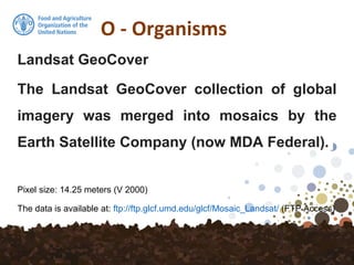 O - Organisms
Landsat GeoCover
The Landsat GeoCover collection of global
imagery was merged into mosaics by the
Earth Satellite Company (now MDA Federal).
Pixel size: 14.25 meters (V 2000)
The data is available at: ftp://ftp.glcf.umd.edu/glcf/Mosaic_Landsat/ (FTP Access)
 