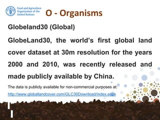 O - Organisms
Globeland30 (Global)
GlobeLand30, the world’s first global land
cover dataset at 30m resolution for the years
2000 and 2010, was recently released and
made publicly available by China.
The data is publicly available for non-commercial purposes at:
http://www.globallandcover.com/GLC30Download/index.aspx
 
