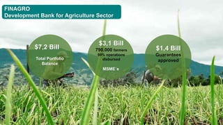 FINAGRO
Development Bank for Agriculture Sector
$7,2 Bill
Total Portfolio
Balance
$3,1 Bill
790.000 farmers
99% operations
disbursed
MSME´s
$1,4 Bill
Guarantees
approved
 