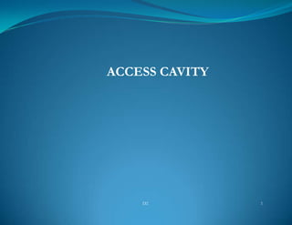 ACCESS CAVITY




    D2          1
 