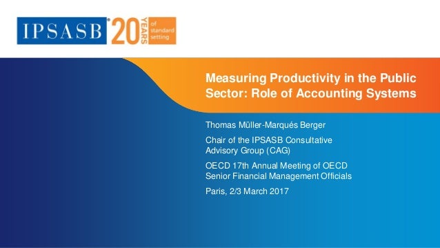 public sector productivity measurement role of accounting systems productivity measuring