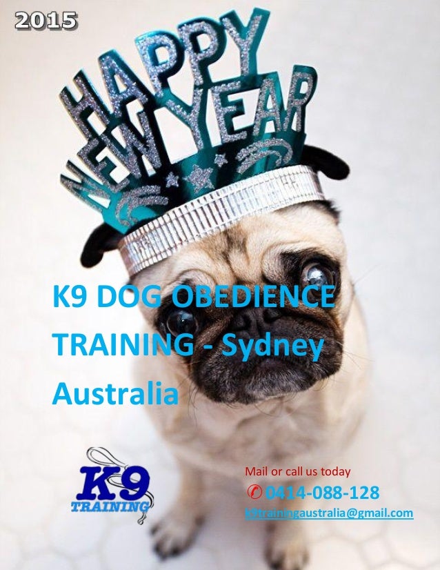 Are You Facing Dog Problems Central Coast – Dog Training ...