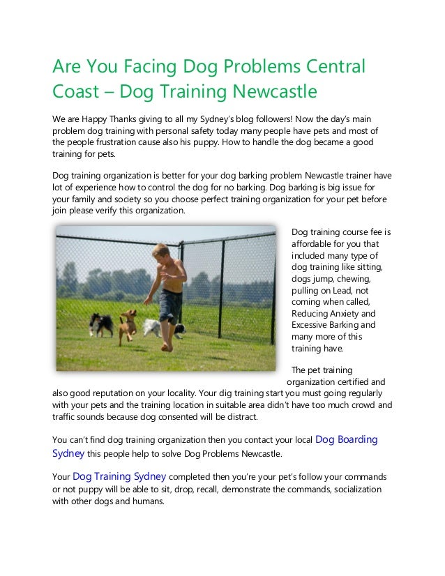 dog trainers central coast
