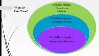 Níveis do
Fato Social:
 