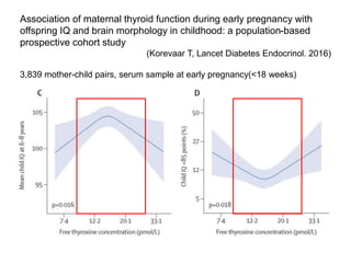 (마더리스크라운드) Thyroid Disease in Pregnancy | PPTX