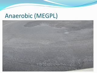 Anaerobic (MEGPL)
 