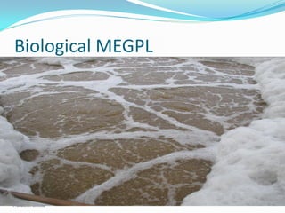 Biological MEGPL
 
