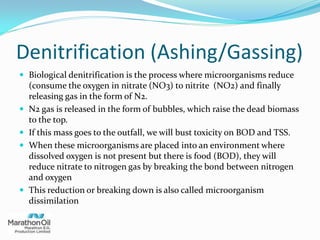 Denitrification (Ashing/Gassing)
 Biological denitrification is the process where microorganisms reduce
(consume the oxygen in nitrate (NO3) to nitrite (NO2) and finally
releasing gas in the form of N2.
 N2 gas is released in the form of bubbles, which raise the dead biomass
to the top.
 If this mass goes to the outfall, we will bust toxicity on BOD and TSS.
 When these microorganisms are placed into an environment where
dissolved oxygen is not present but there is food (BOD), they will
reduce nitrate to nitrogen gas by breaking the bond between nitrogen
and oxygen
 This reduction or breaking down is also called microorganism
dissimilation
 