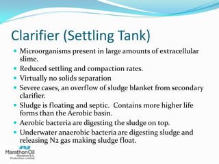 Clarifier (Settling Tank)
 Microorganisms present in large amounts of extracellular
slime.
 Reduced settling and compaction rates.
 Virtually no solids separation
 Severe cases, an overflow of sludge blanket from secondary
clarifier.
 Sludge is floating and septic. Contains more higher life
forms than the Aerobic basin.
 Aerobic bacteria are digesting the sludge on top.
 Underwater anaerobic bacteria are digesting sludge and
releasing N2 gas making sludge float.
 