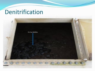 Denitrification
N2 Gas Bubbles
 