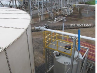 EFFLUENT TANK
 
