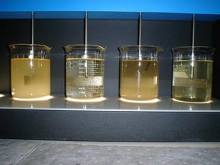 MEGPL-PWTP Plant