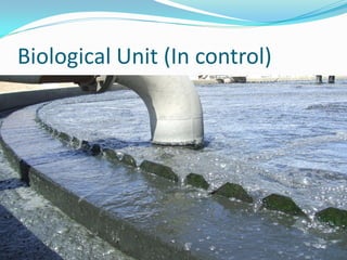 Biological Unit (In control)
 