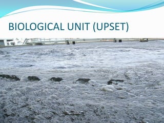 44
BIOLOGICAL UNIT (UPSET)
 