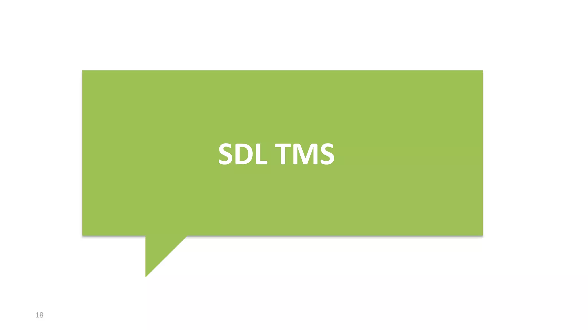 18
SDL TMS
 
