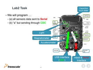 TM
44
Lab2 Task
• We will program …
− (a) all sensors data sent to Serial
− (b) “a” but sending through CDC
Accelerometer
USB Interface
(CDC)
mbed & Serial
Interface
Light
Magnetometer
Capacitive
touch slider
CDC
 