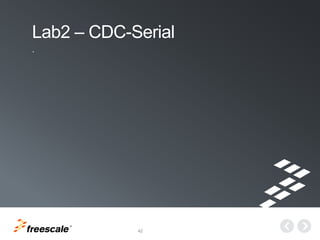 TM
42
Lab2 – CDC-Serial
.
 