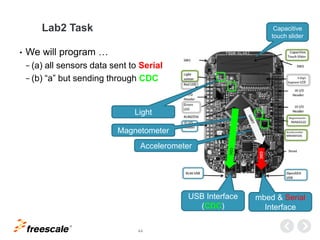 TM
44
Lab2 Task
• We will program …
− (a) all sensors data sent to Serial
− (b) “a” but sending through CDC
Accelerometer
...
