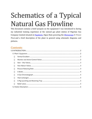 Schematics of a Typical
Natural Gas FlowlineThis document contains a brief synopsis on the equipment I was introduced to during
my industrial training experience at the natural gas plant station of Nigerian Gas
Company Limited situated at Papalanto, Ogun State powering the Olorunsogo II Power
Plant and a brief description of the plant in general using schematic diagrams and
pictures.
Contents
1.0 INTRODUCTION:....................................................................................................................... 2
1.1 Plant’s Equipment:.................................................................................................................... 2
Vertical Scrubbers ............................................................................................................... 2
Monitor and Active Control Valves .................................................................................... 2
Slam – Shut Valves,............................................................................................................. 3
Non–Return Valves, ........................................................................................................... 3
Pressure Reducing Skids ...................................................................................................... 3
A Boiler.............................................................................................................................. 4
A Gas Chromatograph........................................................................................................ 5
Heat exchangers................................................................................................................. 5
A Pig Launching and Receiving Trap. .................................................................................. 5
Relief valves....................................................................................................................... 5
1.2 Station Description:.................................................................................................................. 6
 