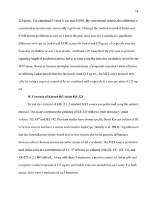 !14
125ug/mL. The calculated P-value is less than 0.0001. By conventional criteria, this difference is
considered to be extremely statistically significant. Although the positive control of Jurkat and
RPMI did not proliferate as well as it has in the past, there was still a statistically significant
difference between the Jurkat and RPMI versus the Jurkat and 125ug/mL of etoposide over the
three-day incubation period. These results, combined with those from the previous experiment
regarding length of incubation period, led us to keep using the three day incubation period for the
MTT assay. However, because the higher concentrations of etoposide were much more effective
at inhibiting Jurkat growth than the previously used 12.5 ug/mL, the MTT assay protocol now
calls for using a negative control of Jurkat combined with etoposide at a concentration of 125 ug/
mL.
II. Virulence of Korean Bd Isolate KR-323
To test the virulence of KR-323, 2 standard MTT assays was performed using the updated
protocol. The assays compared the virulence of KR-323 with two other previously tested
isolates: JEL 197 and JEL 142. Previous studies have shown specific South Korean isolates of Bd
to be less virulent and have a unique and complex haplotype (Batialle et al. 2013). I hypothesized
that this SouthnKorean isolate would also be less virulent due to the genomic differences
between selected Korean isolates and other strains of Bd worldwide. The MTT assays performed
used Jurkat cells at a concentration of 1 x 106 cells/mL co-cultured with JEL 197, JEL 142, and
KR-323 at 2 x 106 cells/mL. Along with these 3 treatments, a positive control of Jurkat cells and
a negative control etoposide at 125 ug/mL and Jurkat were also included in each assay. For both
assays, there were 6 replicates of each treatment.
!
 