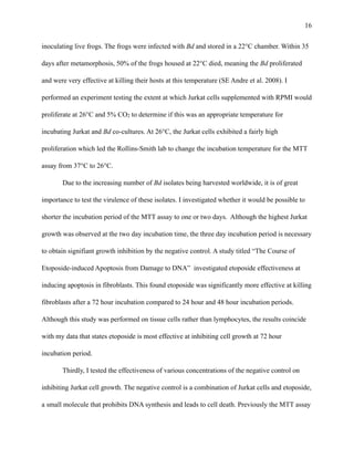 !16
inoculating live frogs. The frogs were infected with Bd and stored in a 22°C chamber. Within 35
days after metamorphosis, 50% of the frogs housed at 22°C died, meaning the Bd proliferated
and were very effective at killing their hosts at this temperature (SE Andre et al. 2008). I
performed an experiment testing the extent at which Jurkat cells supplemented with RPMI would
proliferate at 26°C and 5% CO2 to determine if this was an appropriate temperature for
incubating Jurkat and Bd co-cultures. At 26°C, the Jurkat cells exhibited a fairly high
proliferation which led the Rollins-Smith lab to change the incubation temperature for the MTT
assay from 37°C to 26°C.
Due to the increasing number of Bd isolates being harvested worldwide, it is of great
importance to test the virulence of these isolates. I investigated whether it would be possible to
shorter the incubation period of the MTT assay to one or two days. Although the highest Jurkat
growth was observed at the two day incubation time, the three day incubation period is necessary
to obtain signifiant growth inhibition by the negative control. A study titled “The Course of
Etoposide-induced Apoptosis from Damage to DNA” investigated etoposide effectiveness at
inducing apoptosis in fibroblasts. This found etoposide was significantly more effective at killing
fibroblasts after a 72 hour incubation compared to 24 hour and 48 hour incubation periods.
Although this study was performed on tissue cells rather than lymphocytes, the results coincide
with my data that states etoposide is most effective at inhibiting cell growth at 72 hour
incubation period.
Thirdly, I tested the effectiveness of various concentrations of the negative control on
inhibiting Jurkat cell growth. The negative control is a combination of Jurkat cells and etoposide,
a small molecule that prohibits DNA synthesis and leads to cell death. Previously the MTT assay
 