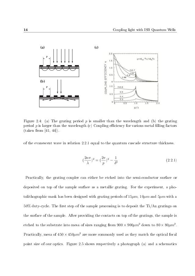 Thesis Rochat