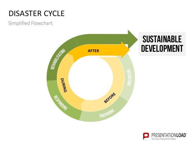 Disaster Management Flow Chart