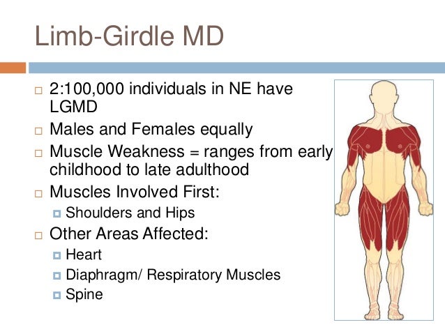 Muscular Dystrophy Presentation (Final)