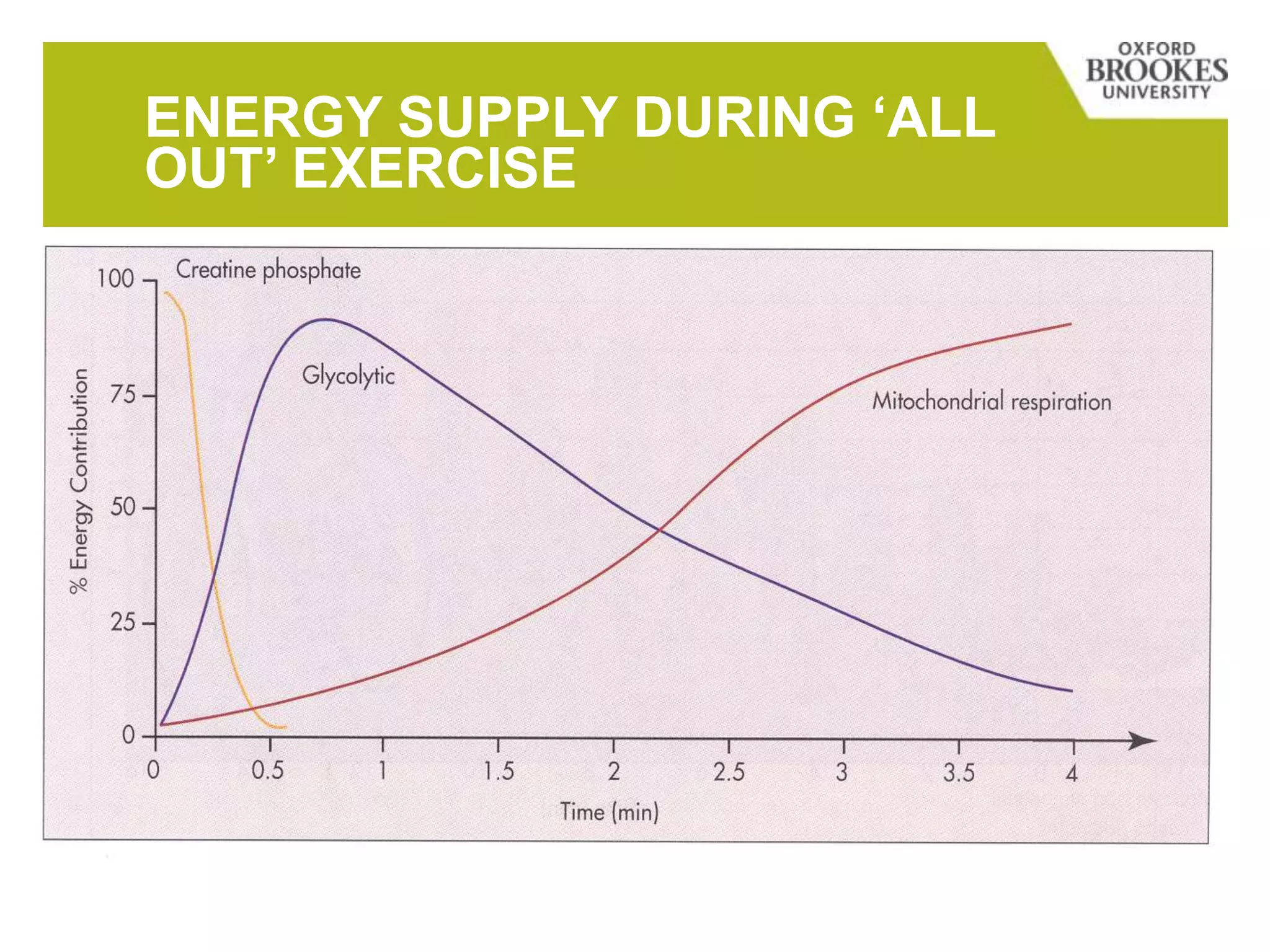 ENERGY SUPPLY DURING ‘ALL
OUT’ EXERCISE
 