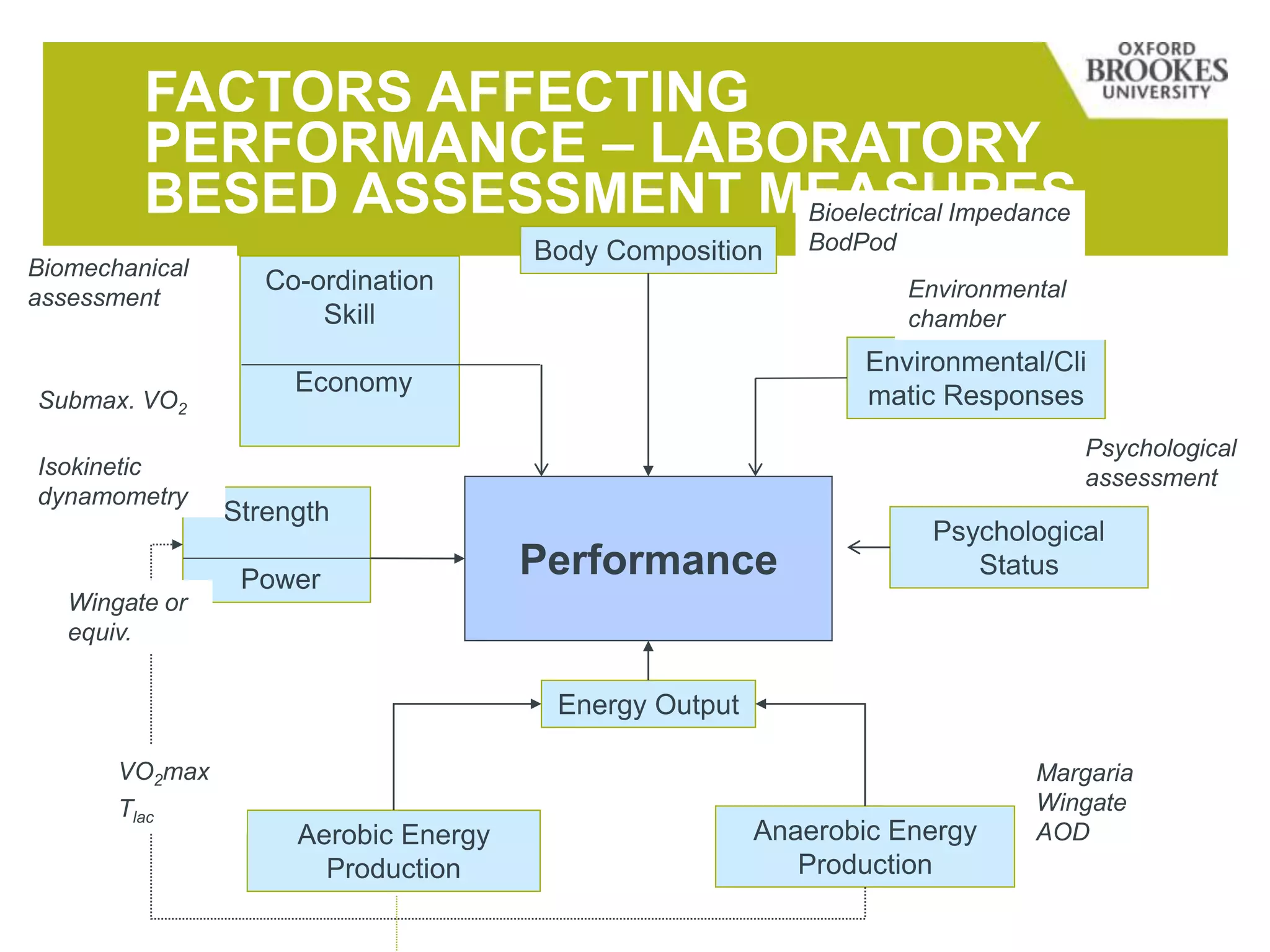 FACTORS AFFECTING
PERFORMANCE – LABORATORY
BESED ASSESSMENT MEASURES
Co-ordination
Skill
Economy
Energy Output
Aerobic Energy
Production
Strength
Power
Psychological
Status
Anaerobic Energy
Production
Environmental/Cli
matic Responses
Performance
Body Composition
Bioelectrical Impedance
BodPod
Environmental
chamber
Psychological
assessment
Margaria
Wingate
AOD
VO2max
Tlac
Wingate or
equiv.
Isokinetic
dynamometry
Submax. VO2
Biomechanical
assessment
 