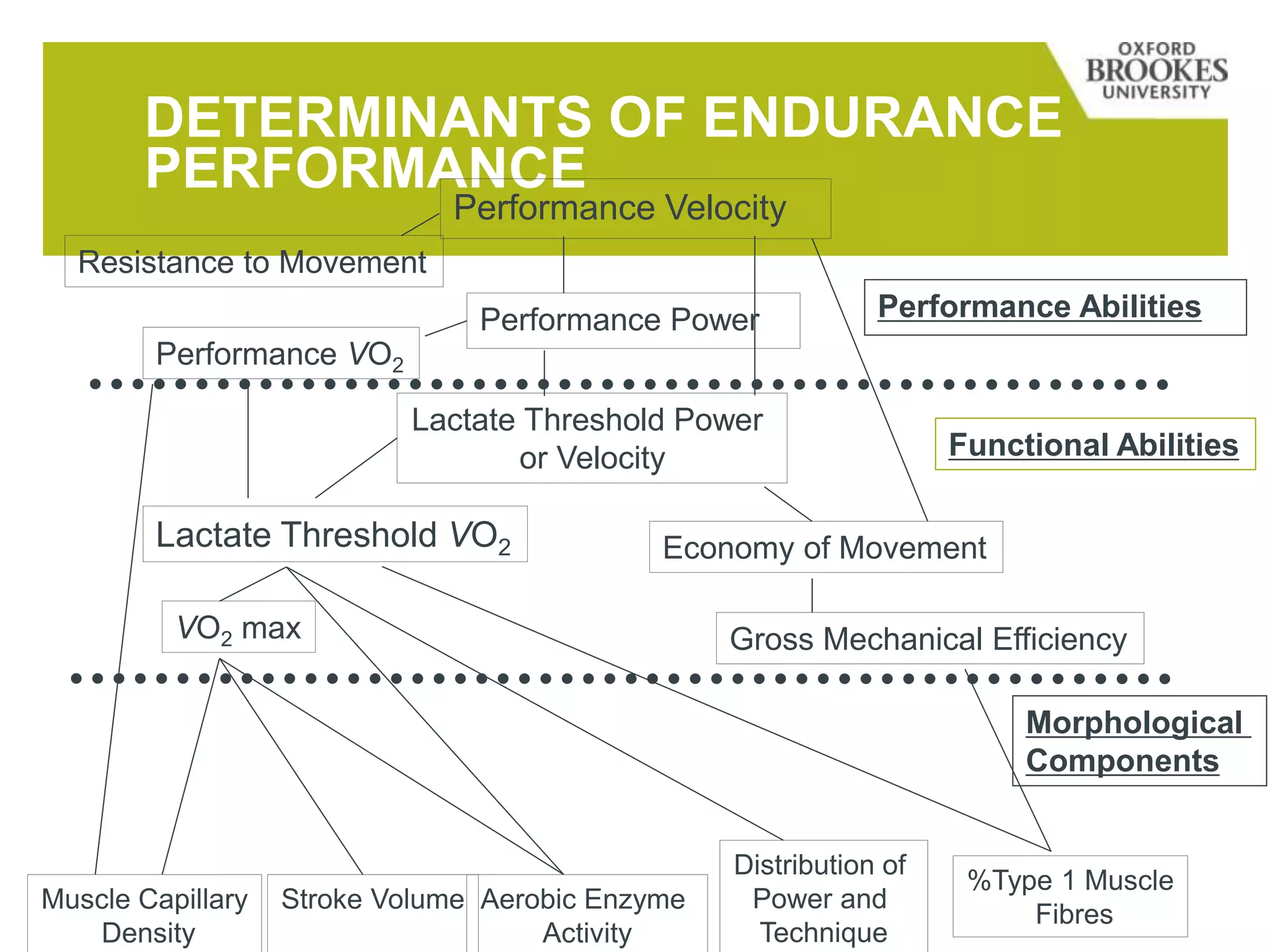 DETERMINANTS OF ENDURANCE
PERFORMANCE
%Type 1 Muscle
Fibres
Performance Velocity
Performance Power
Resistance to Movement
Performance VO2
Lactate Threshold Power
or Velocity
Lactate Threshold VO2
VO2 max
Economy of Movement
Gross Mechanical Efficiency
Muscle Capillary
Density
Stroke Volume Aerobic Enzyme
Activity
Distribution of
Power and
Technique
Functional Abilities
Performance Abilities
Morphological
Components
 