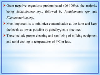 Gram-negative organisms predominated (96-100%), the majority
being Acinetobacter spp., followed by Pseudomonas spp. and
Flavobacterium spp.
Most important is to minimize contamination at the farm and keep
the levels as low as possible by good hygienic practices.
These include proper cleaning and sanitizing of milking equipment
and rapid cooling to temperatures of 4ºC or less.
 