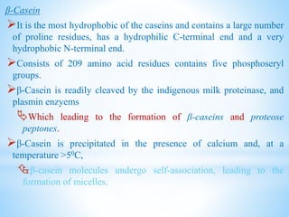 β-Casein
It is the most hydrophobic of the caseins and contains a large number
of proline residues, has a hydrophilic C-terminal end and a very
hydrophobic N-terminal end.
Consists of 209 amino acid residues contains five phosphoseryl
groups.
β-Casein is readily cleaved by the indigenous milk proteinase, and
plasmin enzyems
Which leading to the formation of β-caseins and proteose
peptones.
β-Casein is precipitated in the presence of calcium and, at a
temperature >50C,
β-casein molecules undergo self-association, leading to the
formation of micelles.
 