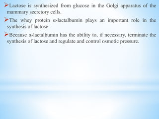 Lactose is synthesized from glucose in the Golgi apparatus of the
mammary secretory cells.
The whey protein α-lactalbumin plays an important role in the
synthesis of lactose
Because α-lactalbumin has the ability to, if necessary, terminate the
synthesis of lactose and regulate and control osmotic pressure.
 