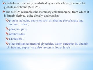 Globules are naturally emulsified by a surface layer, the milk fat
globule membrane (MFGM).
The MFGM resembles the mammary cell membrane, from which it
is largely derived, quite closely, and consists
protein including enzymes such as alkaline phosphatase and
xanthine oxidase,
phospholipids,
cerebrosides,
Cholesterol,
other substances (neutral glycerides, water, caretenoids, vitamin
A, iron and copper) are also present at lower levels.
 