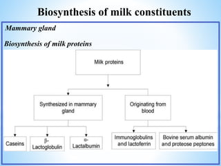 Biosynthesis of milk constituents
Mammary gland
Biosynthesis of milk proteins
 