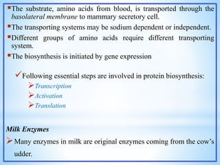 The substrate, amino acids from blood, is transported through the
basolateral membrane to mammary secretory cell.
The transporting systems may be sodium dependent or independent.
Different groups of amino acids require different transporting
system.
The biosynthesis is initiated by gene expression
Following essential steps are involved in protein biosynthesis:
Transcription
Activation
Translation
Milk Enzymes
Many enzymes in milk are original enzymes coming from the cow’s
udder.
 