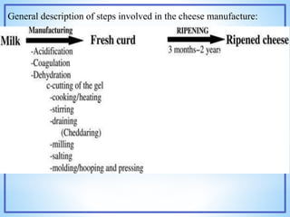 General description of steps involved in the cheese manufacture:
 