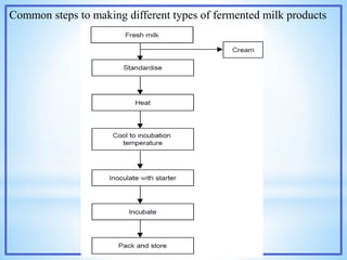 Common steps to making different types of fermented milk products
 