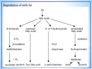Degradation of milk fat
 