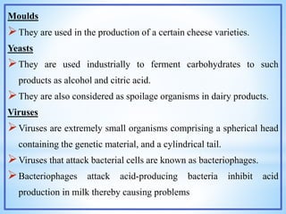 Moulds
They are used in the production of a certain cheese varieties.
Yeasts
They are used industrially to ferment carbohydrates to such
products as alcohol and citric acid.
They are also considered as spoilage organisms in dairy products.
Viruses
Viruses are extremely small organisms comprising a spherical head
containing the genetic material, and a cylindrical tail.
Viruses that attack bacterial cells are known as bacteriophages.
Bacteriophages attack acid-producing bacteria inhibit acid
production in milk thereby causing problems
 