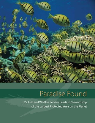 Paradise Found
U.S. Fish and Wildlife Service Leads in Stewardship
of the Largest Protected Area on the Planet
 