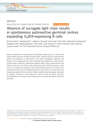 ARTICLE
Received 23 Jan 2015 | Accepted 31 Mar 2015 | Published 11 May 2015
Absence of surrogate light chain results
in spontaneous autoreactive germinal centres
expanding VH81X-expressing B cells
Ola Grimsholm1,*, Weicheng Ren1,*, Angelina I. Bernardi1, Haixia Chen1, Giljun Park1, Alessandro Camponeschi1,
Dongfeng Chen1, Berglind Bergmann1, Nina Ho¨o¨k1, Soﬁa Andersson1, Anneli Stro¨mberg2, Inger Gjertsson1,
Susanna Cardell2, Ulf Yrlid2, Alessandra De Riva3 & Inga-Lill Mårtensson1
Random recombination of antibody heavy- and light-chain genes results in a diverse B-cell
receptor (BCR) repertoire including self-reactive BCRs. However, tolerance mechanisms that
prevent the development of self-reactive B cells remain incompletely understood. The
absence of the surrogate light chain, which assembles with antibody heavy chain forming a
pre-BCR, leads to production of antinuclear antibodies (ANAs). Here we show that the naive
follicular B-cell pool is enriched for cells expressing prototypic ANA heavy chains in these
mice in a non-autoimmune background with a broad antibody repertoire. This results in the
spontaneous formation of T-cell-dependent germinal centres that are enriched with B cells
expressing prototypic ANA heavy chains. However, peripheral tolerance appears maintained
by selection thresholds on cells entering the memory B-cell and plasma cell pools,
as exempliﬁed by the exclusion of cells expressing the intrinsically self-reactive VH81X from
both pools.
DOI: 10.1038/ncomms8077
1 Department of Rheumatology and Inﬂammation Research, University of Gothenburg, PO Box 480, Gothenburg SE-405 30, Sweden. 2 Department of
Microbiology and Immunology, University of Gothenburg, PO Box 435, Gothenburg SE-405 30, Sweden. 3 CIMR Medicine, PO Box 139, Wellcome
Trust/MRC Building, Cambridge Biomedical Campus, Cambridge CB2 0XY, UK. * These authors contributed equally to this work. Correspondence and
requests for materials should be addressed to I.-L.M.(email: lill.martensson@rheuma.gu.se).
NATURE COMMUNICATIONS | 6:7077 | DOI: 10.1038/ncomms8077 | www.nature.com/naturecommunications 1
& 2015 Macmillan Publishers Limited. All rights reserved.
 