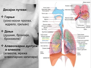 KME- ZN pacijenata na MV ! | PPT