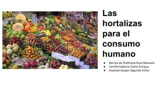 ● Barrios de Chafloque Rosa Manuela
● Carrillo Valencia Carlos Enrique
● Huaman Gaspar Segundo Víctor
Las
hortalizas
para el
consumo
humano
 
