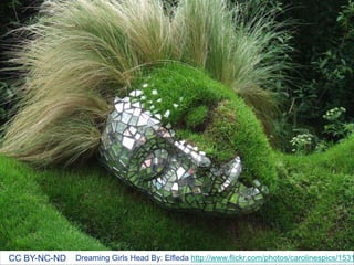Dreaming Girls Head By: Elfleda http://www.flickr.com/photos/carolinespics/1531CC BY-NC-ND
 