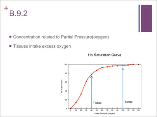 +
    B.9.2

       Concentration related to Partial Pressure(oxygen)

       Tissues intake excess oxygen
 