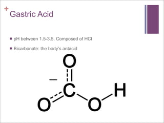 +
    Gastric Acid

       pH between 1.5-3.5. Composed of HCl

       Bicarbonate: the body’s antacid
 